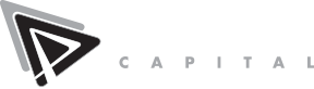 The light version of the paradigm logo